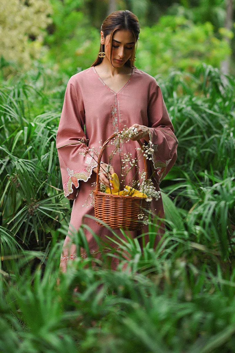 Ansab Jahangir'24 - BREDA