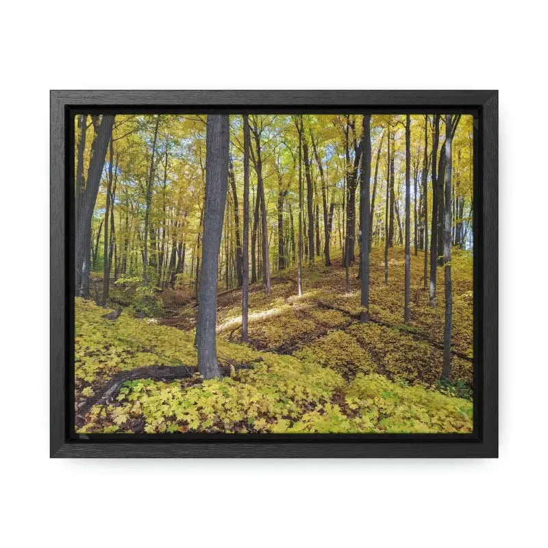 Autumn Elegance: Trendy Gallery Canvas Wraps for your Home