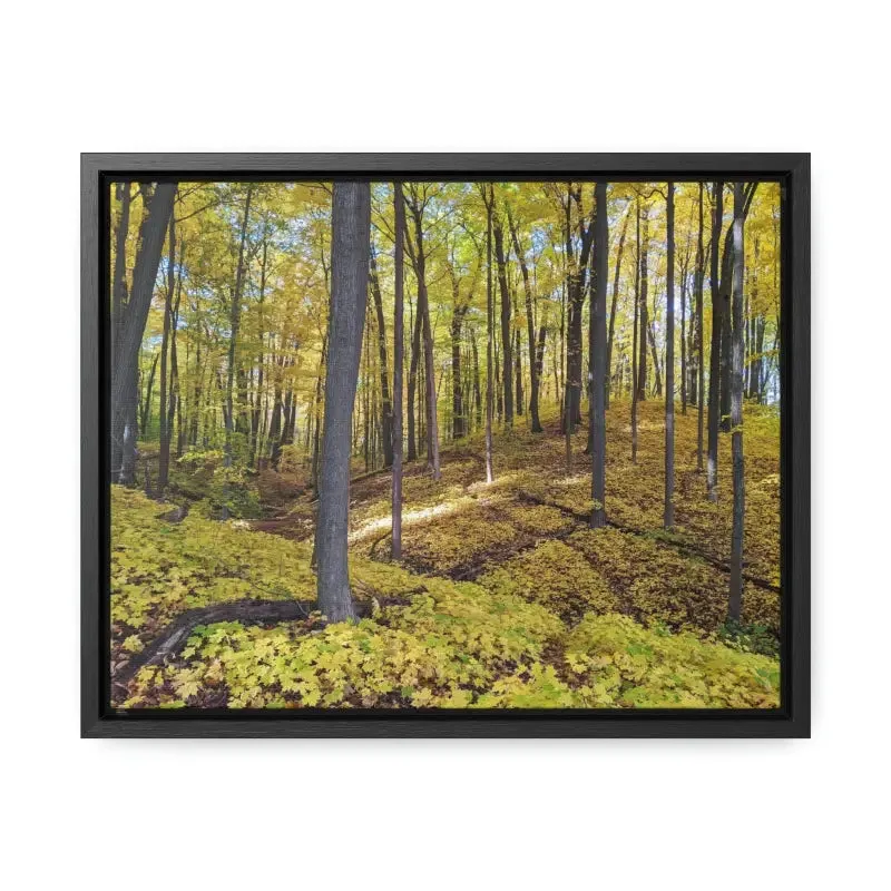 Autumn Elegance: Trendy Gallery Canvas Wraps for your Home