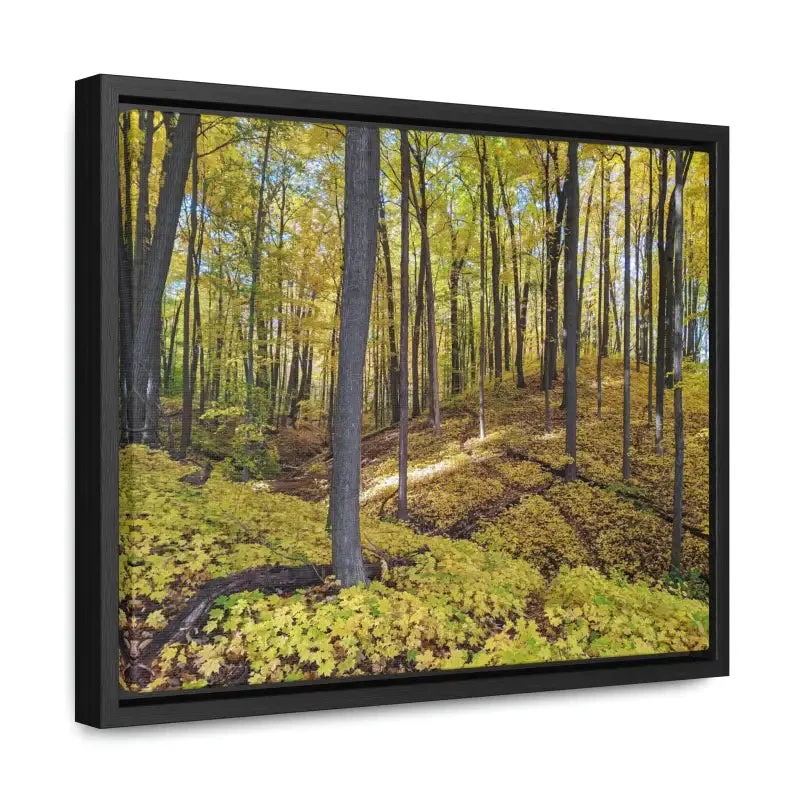 Autumn Elegance: Trendy Gallery Canvas Wraps for your Home