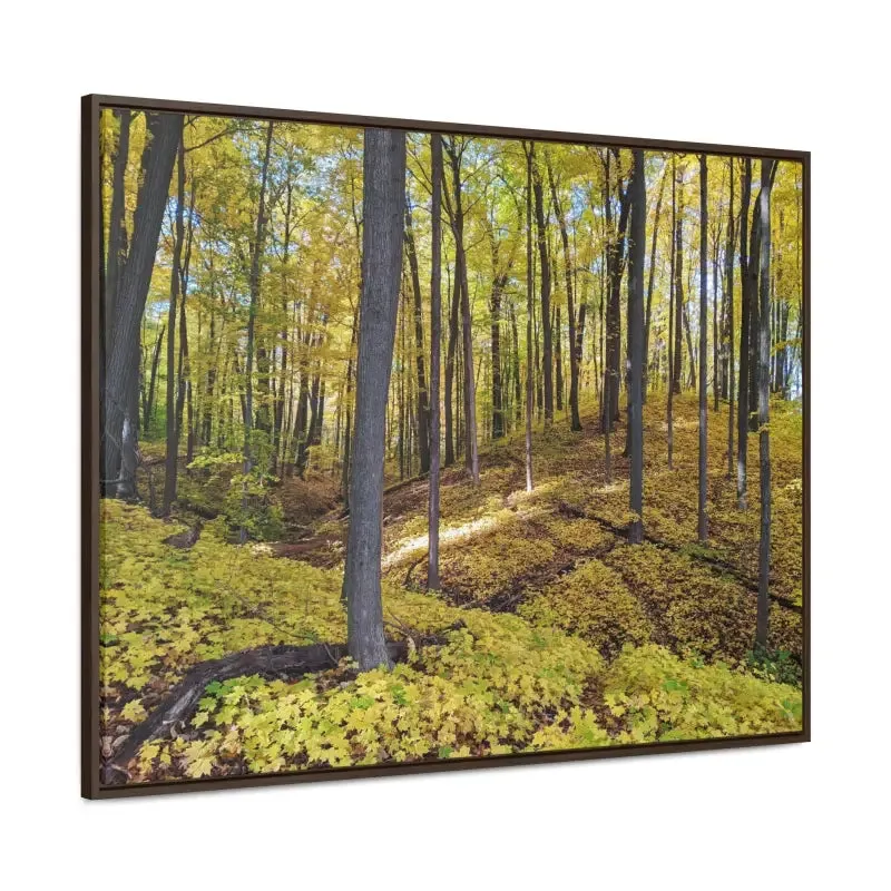 Autumn Elegance: Trendy Gallery Canvas Wraps for your Home