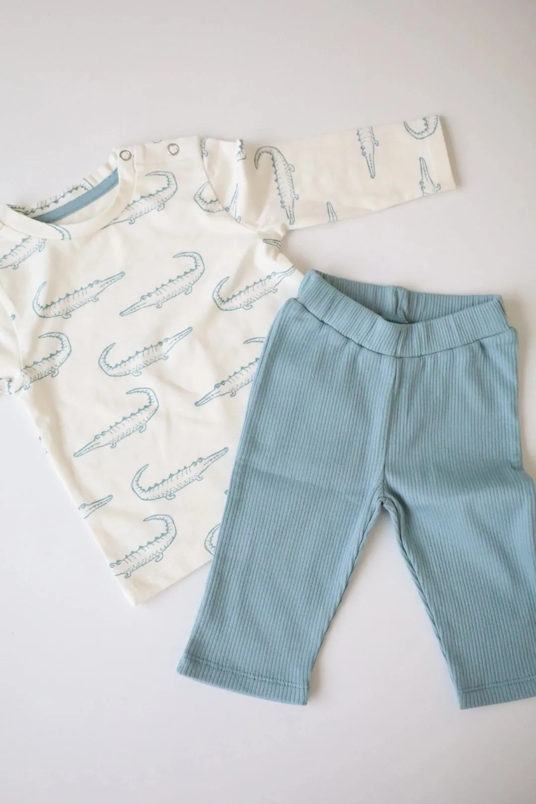 Crocodile-Unisex Kids T Shirts Pants Set