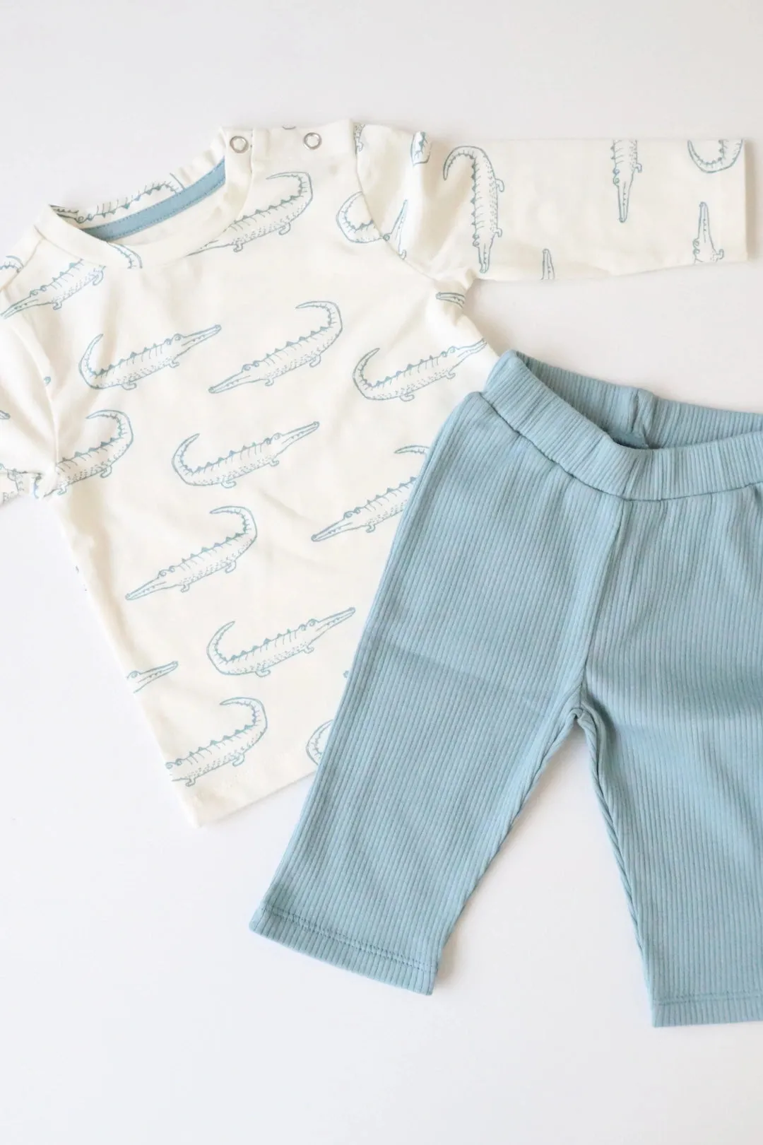 Crocodile-Unisex Kids T Shirts Pants Set