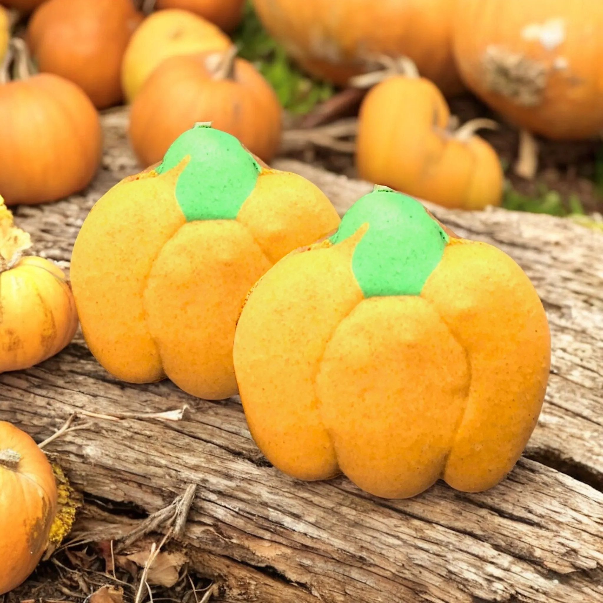 Pumpkin Patch Macarons - Customizable Flavors and Designs